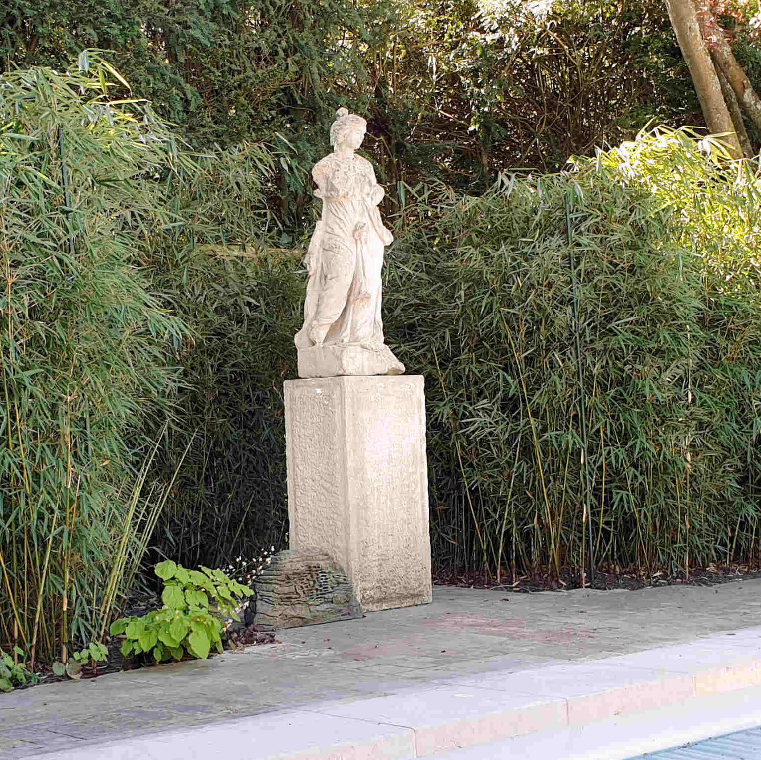 haagplanten haagplanten