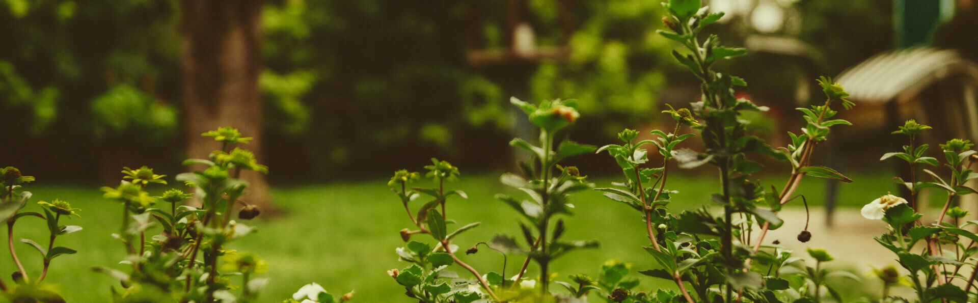 Ontspannen in je eigen tuin